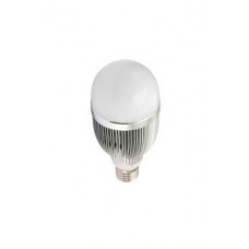 30 W LED Bulb
